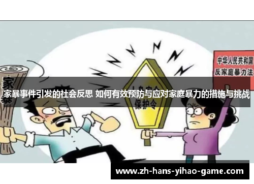家暴事件引发的社会反思 如何有效预防与应对家庭暴力的措施与挑战
