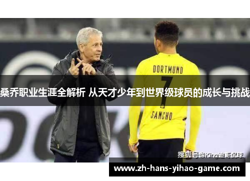 桑乔职业生涯全解析 从天才少年到世界级球员的成长与挑战