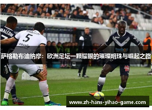 萨格勒布迪纳摩：欧洲足坛一颗耀眼的璀璨明珠与崛起之路